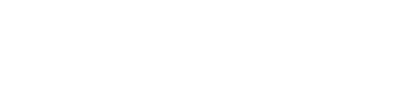 riders&elephants